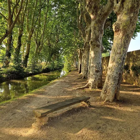 Apartamento L'escale De L'avenue *