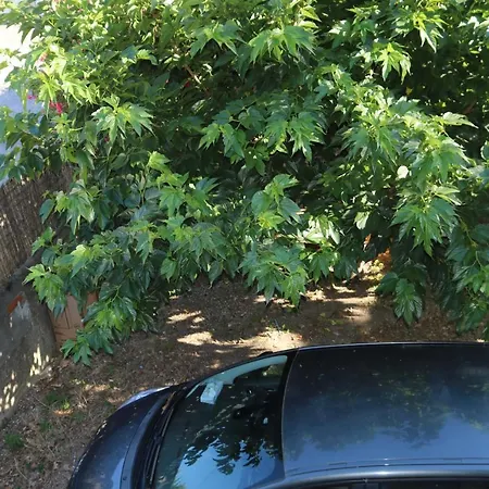 Le 282-spacieux-parking Gratuit Apartment